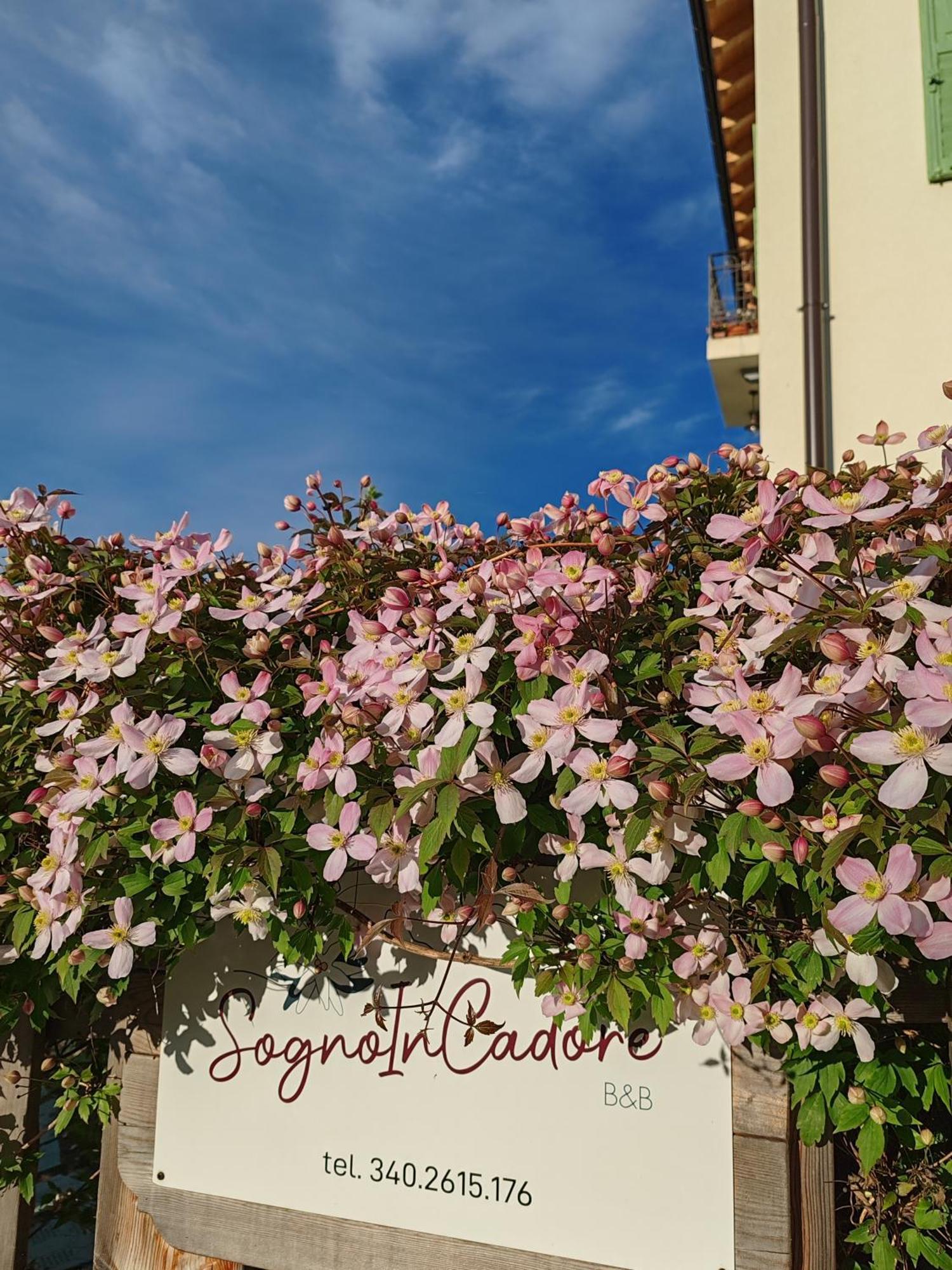 B&B Sognoincadore Domegge di Cadore Luaran gambar
